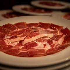 CocefSenat20250218Tomgutt_DSC07175_18022026009