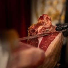 CocefSenat20250218Tomgutt_DSC07198_18022026009