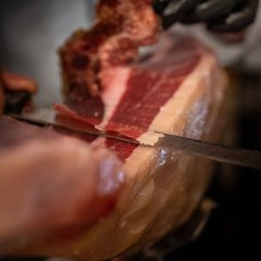 CocefSenat20250218Tomgutt_DSC07202_18022026009