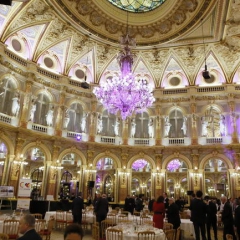 Dîner de Gala et des Trophées COCEF 2015 (_107