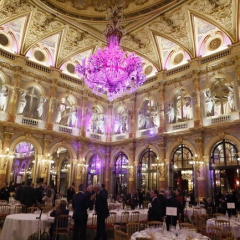 Dîner de Gala et des Trophées COCEF 2015 (_109