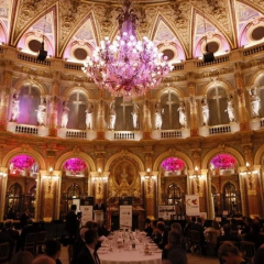 Dîner de Gala et des Trophées COCEF 2015 (_116