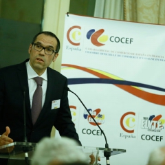 Dîner de l'Assemblée Générale COCEF 2015 au Cercle National des Armées_62