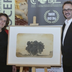 Dîner des 130 ans & des Trophées COCEF 2016_139