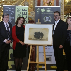 Dîner des 130 ans & des Trophées COCEF 2016_140