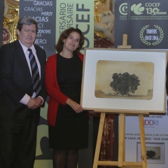 Dîner des 130 ans & des Trophées COCEF 2016_141