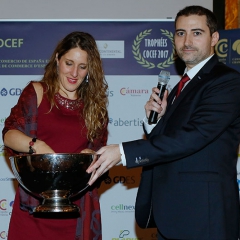 Dîner des Trophées COCEF 2017_33